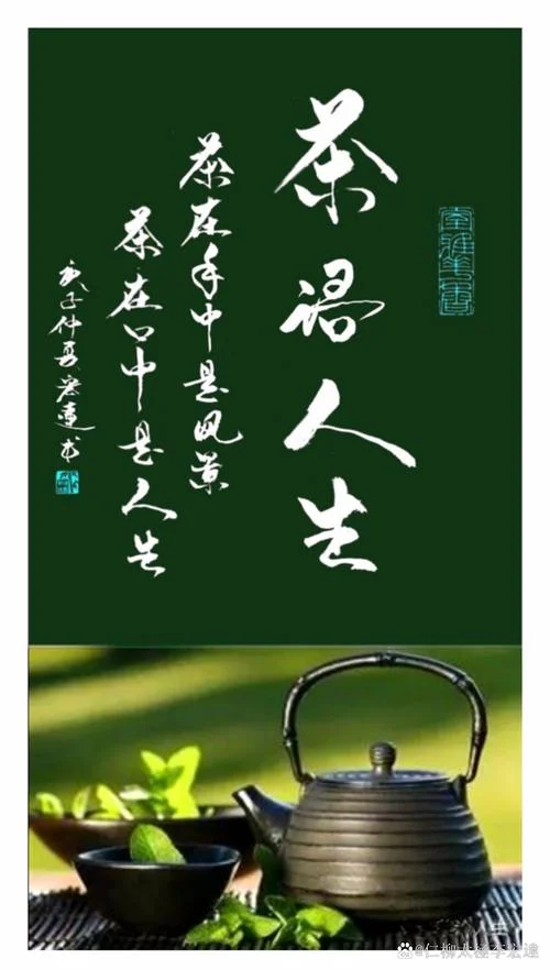 茶生活感悟经典句子-茶生活感悟经典金句