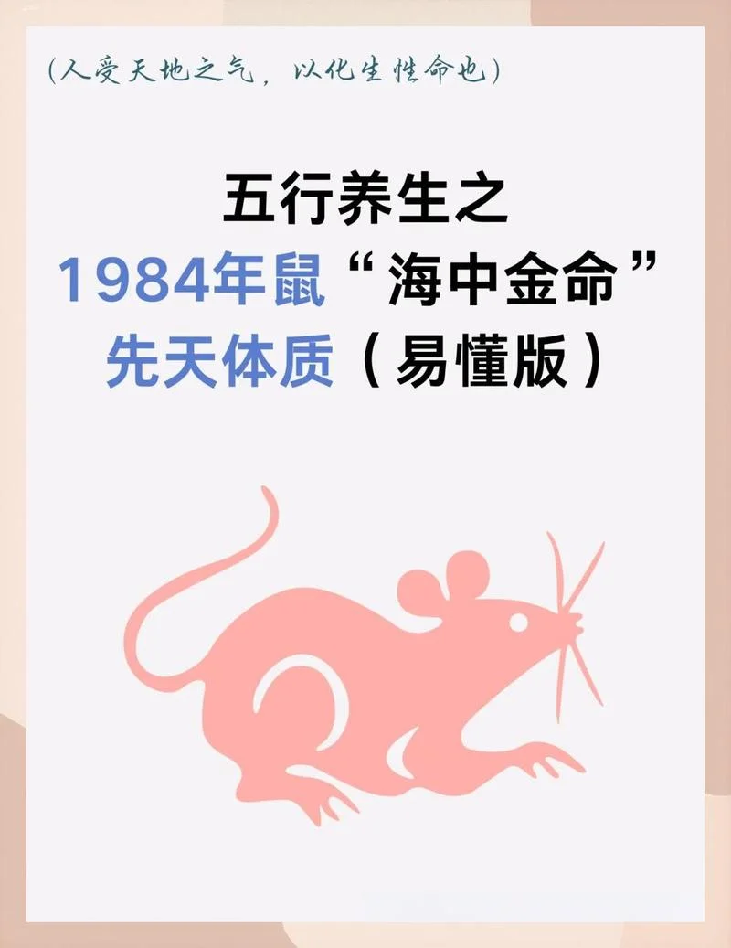 2020年生肖鼠什么命_1