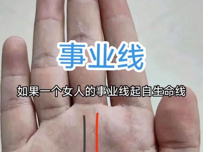 人的手相事业线_1