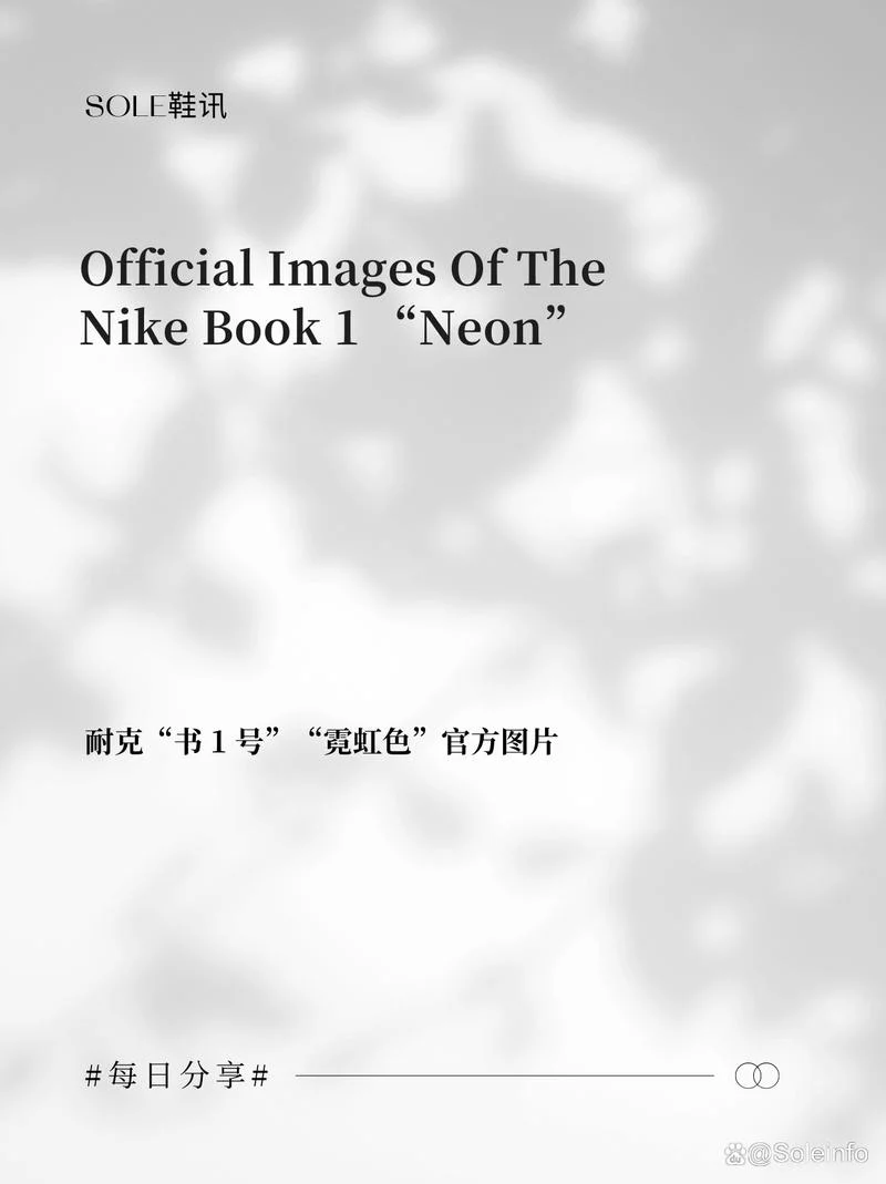 nike发展历史的书籍_2