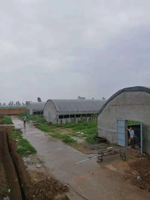 建一亩养殖大棚费用-一亩养殖大棚造价