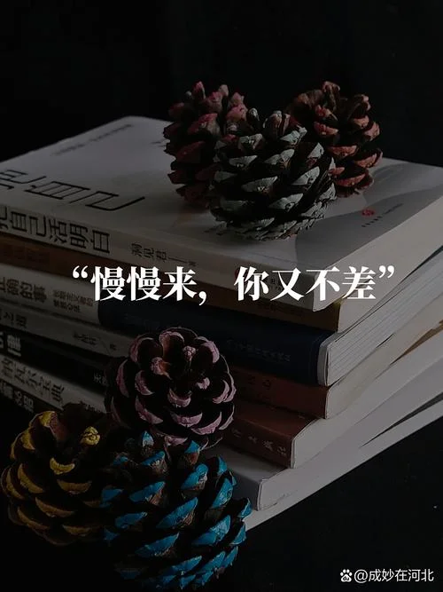 我明白一个道理_2
