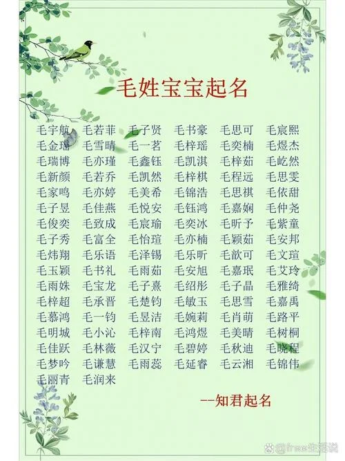 狗年男宝宝起名大全免费_2