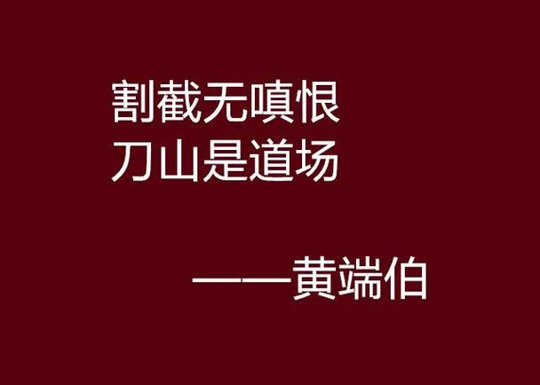 做铮铮硬汉上一句_1