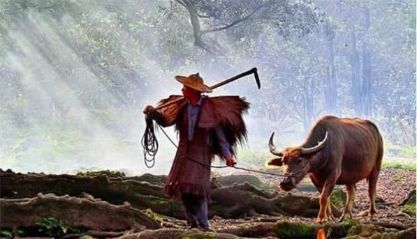 梦见一家人掉水里了是什么意思-梦见家人落水预兆