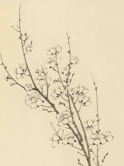 王冕学画出自_2