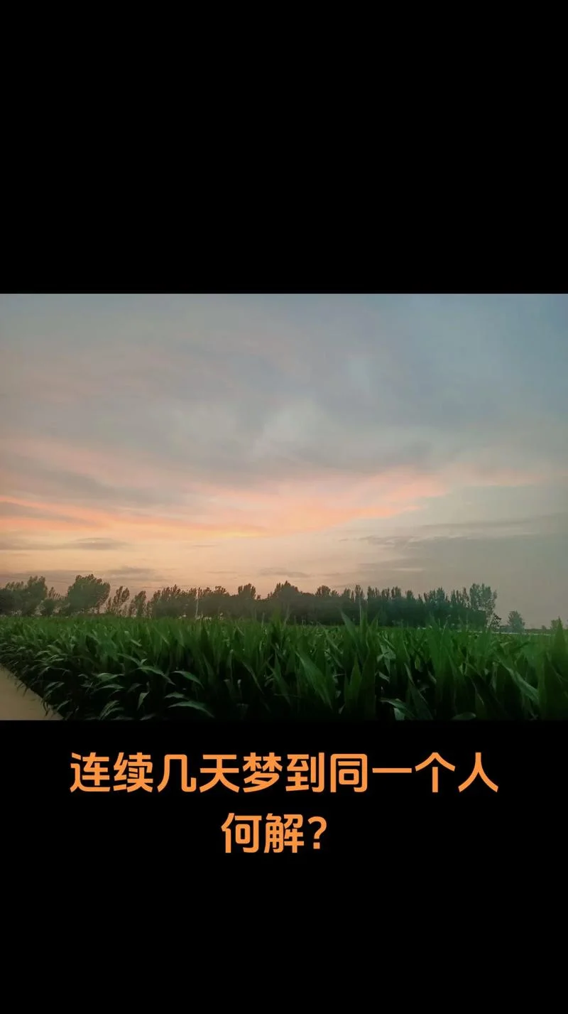 最近老梦到同一个人-近期频梦同一人