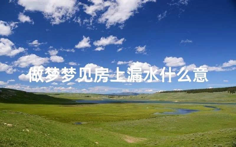 梦见自己家里漏水_1