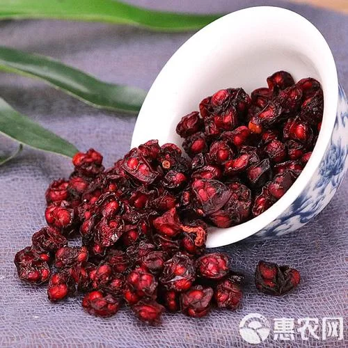 北五味子又叫什么_1