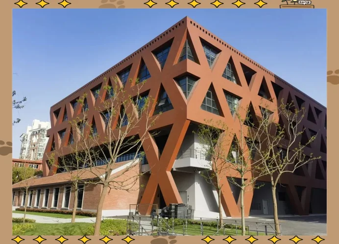 一建培训学院-一建培训学院