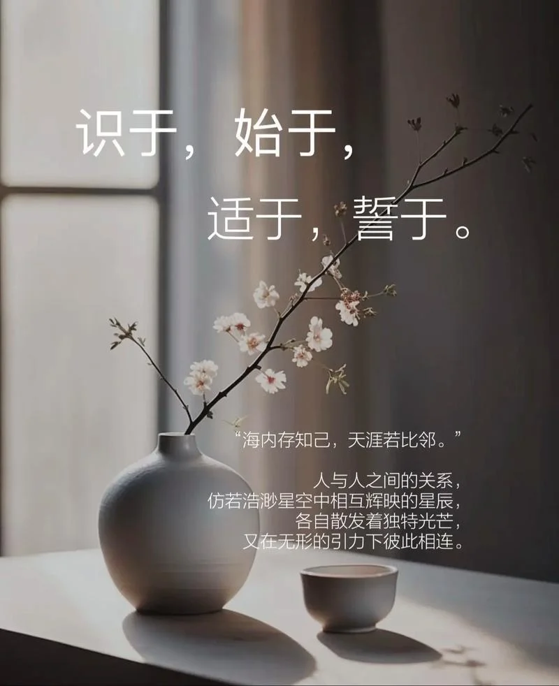 天涯若比邻出自_1