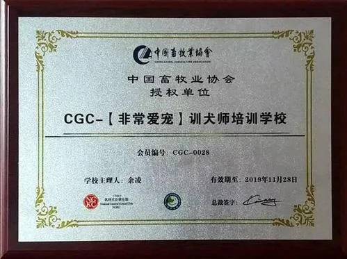 重庆资格证书查询网-重庆资格证书查询网