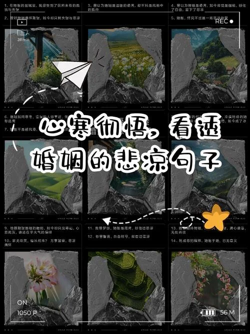 婚姻感悟经典句子唯美_2
