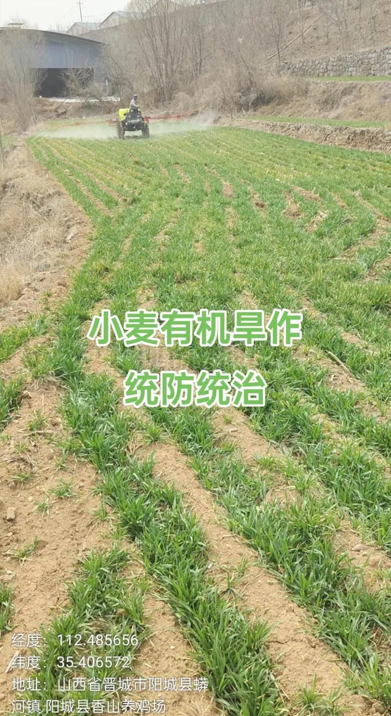 什么是病虫害绿色防控_1