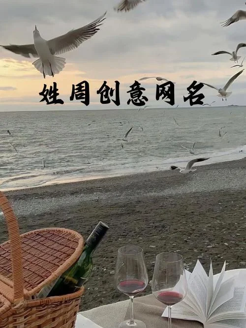 我姓周她姓杨网名叫什么_1