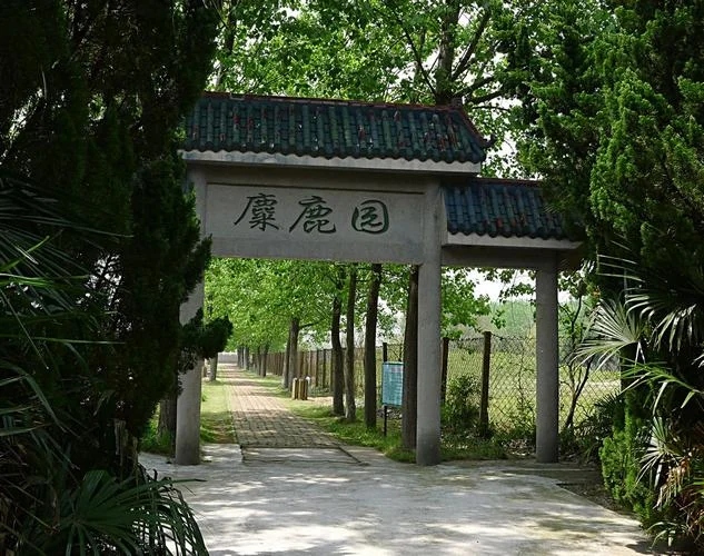 大丰一日游必去景点_1