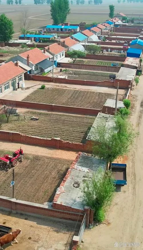 一亩是多少平米地_1