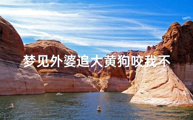 女人梦见黄狗咬自己_2