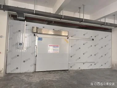 100平方冷库要多少钱_1