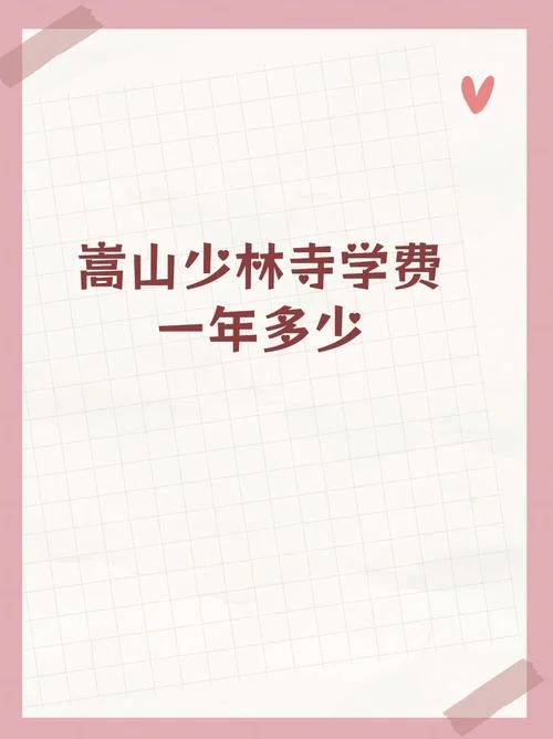 嵩山少林报名费_1