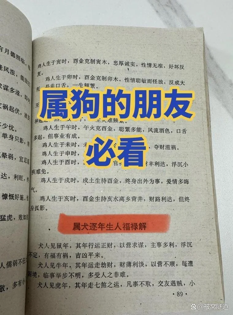 张姓男孩起名属狗_1