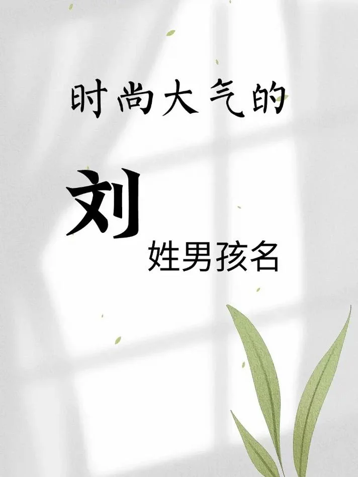 姓刘的龙宝宝起名_1