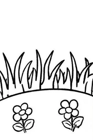 公园草坪简笔画_1