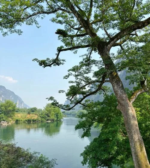 如沐春风是什么意思_1