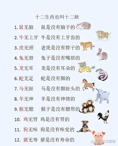 十二生肖分别叫什么_1
