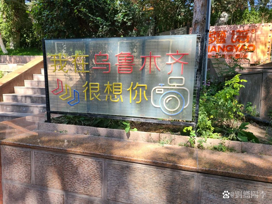 20岁的贪玩是谁写的_1