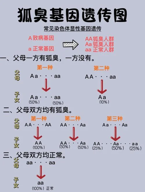 几月怀孕不会遗传狐臭_2