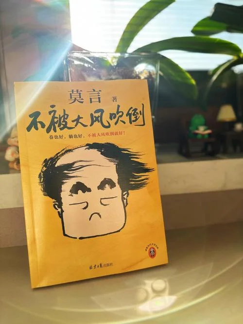 风太大的搞笑说说_1