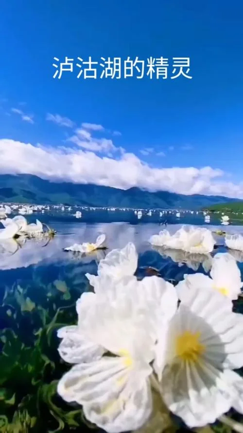 人浮浮水流流出自哪_2
