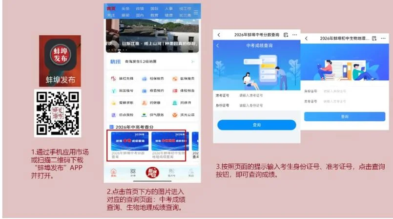 安徽学生中考成绩查询_2