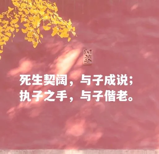 与子偕老执子之手的上一句_2