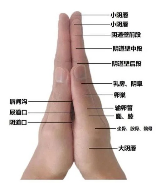 手相看性功能-手相看性