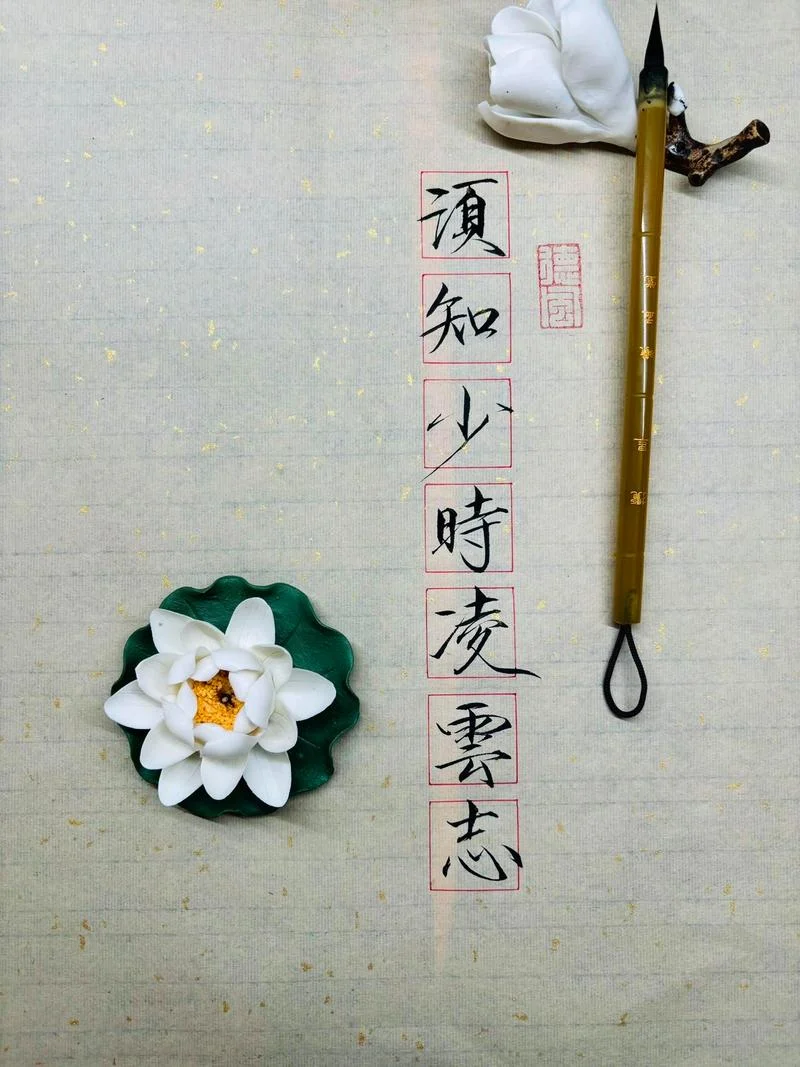 须知少时凌云志出处_2