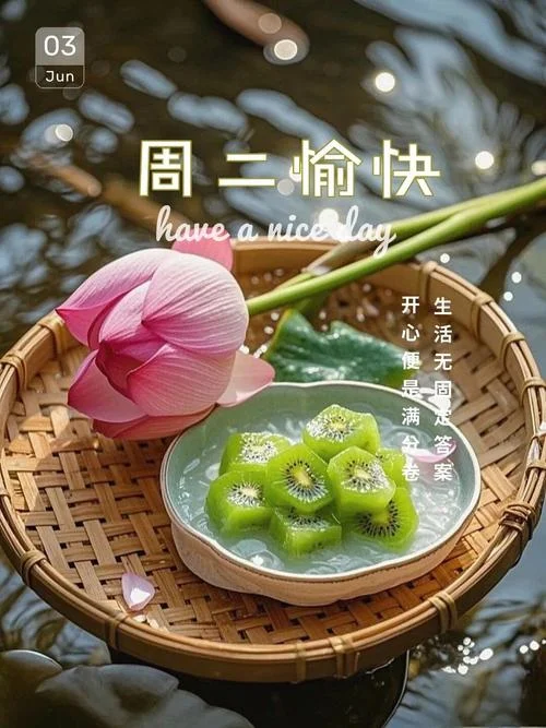 今日元气满满下一句_1