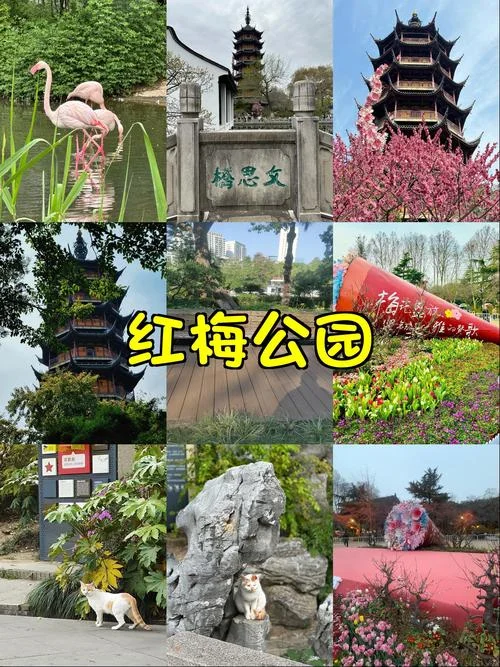 常州四日游-常州四日游