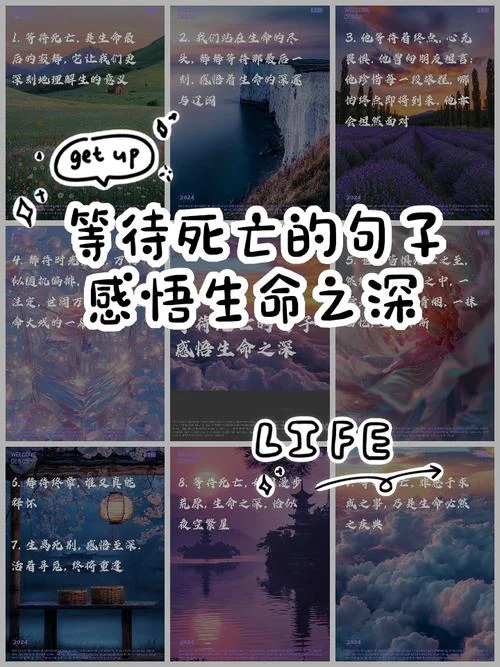 关于生死的感悟_1