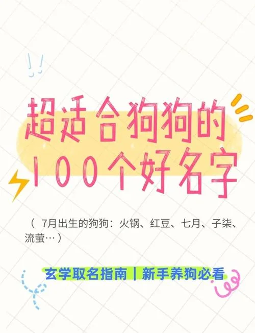 宠物公司起名-宠物公司起名推荐