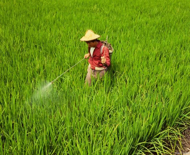 农村的地多少钱一亩_2