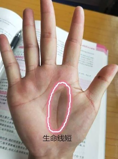 生命线的手相图解_2