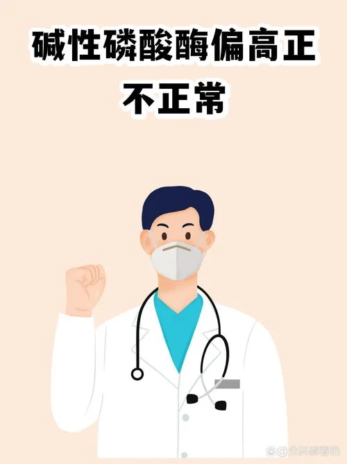 碱性磷酸酶升高是为什么_1