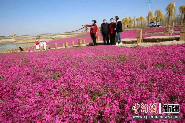 察布查尔县机场在哪里_1
