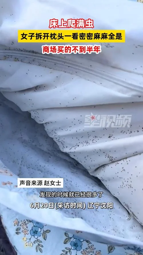 梦到很多小虫-梦见许多小虫