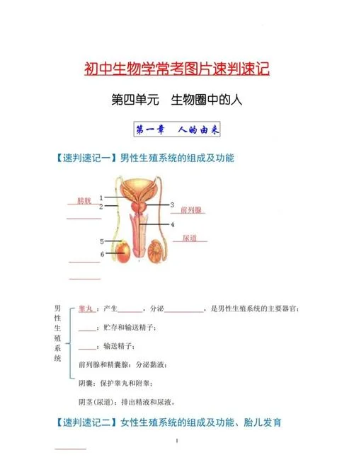 中考研究生物-中考生物研究
