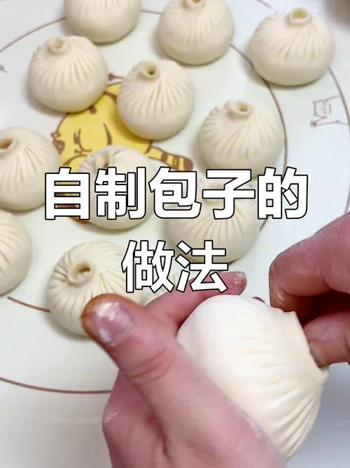 学做包子怎么发面最好-做包子选什么面
