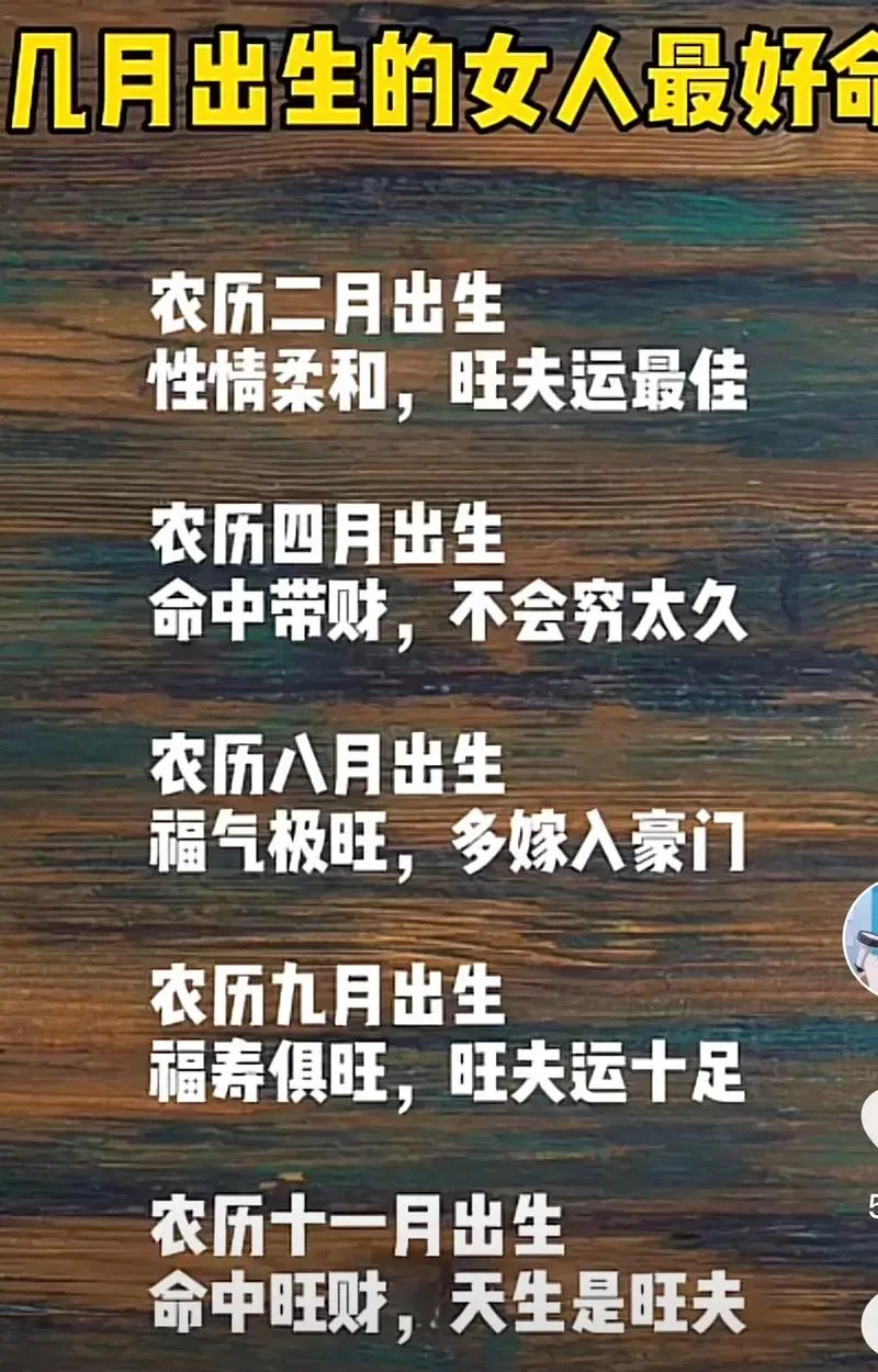 2028年的马月是几月_2