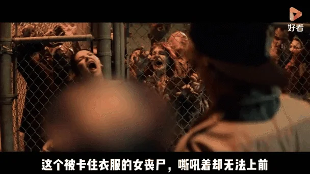 天雷剧情 我的丧尸-丧尸天雷剧情